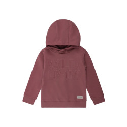 DAILY 7 Jongens hoodie wild livin