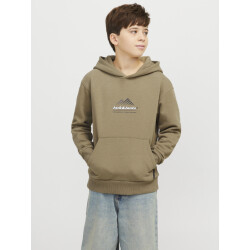 Jack & Jones Jcolima logo sweat hood bf jnr