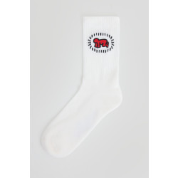 America Today Socks kh