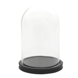 Clayre & Eef Clayre & eef stolp Ø 17x25 cm glas hout rond glazen stolp