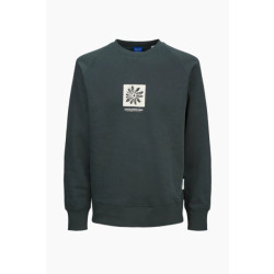 Jack & Jones jorportland box sweat crew neck 12262958 forest river