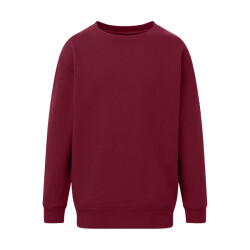 SG Sweatshirt met ronde hals voor kinderen/kinderen