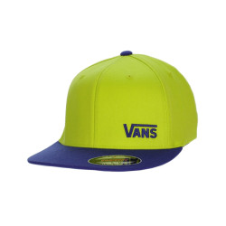 Vans Splitz flexfit cap