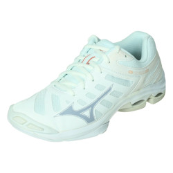 Mizuno Wave voltage