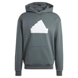 Adidas Future icons badge of sport hoodie