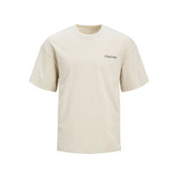 Jack & Jones Jjebradley graphic tee ss o-neck jn
