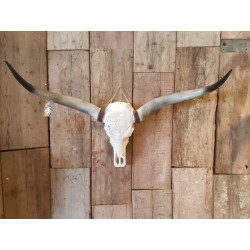 Vtw Living Longhoorn skull dierenhoofd dierenschedel voor aan de muur bufffelschedel -