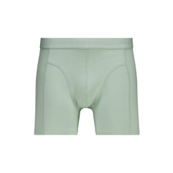 America Today Boxershort alex