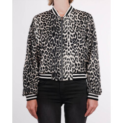 Rino & Pelle Coat banner.7012521
