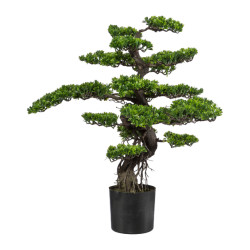 Kopu ® kunstplant bonsai 75 cm in zwarte pot bonsai boompje