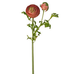 Sia Deco Tige de renoncule rose et / 56 cm