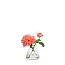 Sia Deco Dahlia avec bourgeon en illusion d'eau -