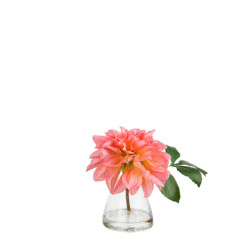 Sia Deco Dahlia en illusion d'eau -