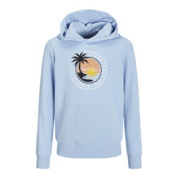Jack & Jones Jjpalm sweat hood jnr