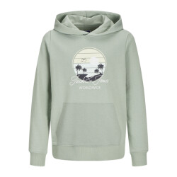 Jack & Jones Jjpalm sweat hood jnr