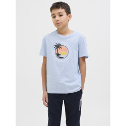 Jack & Jones Jjpalm tee ss crew neck jnr