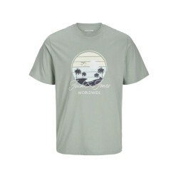Jack & Jones Jjpalm tee ss crew neck jnr
