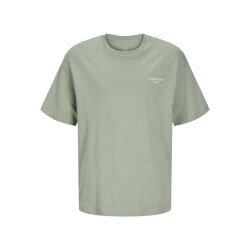 Jack & Jones Jjjeff monochrome tee ss crew neck