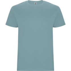 Roly Kinder/kinder stafford t-shirt met korte mouwen