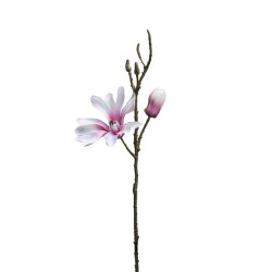 Sia Deco Tige de magnolia -