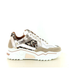 DWRS Label Pluto leopard