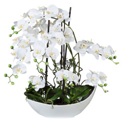 Kopu ® kunstbloem volle orchidee 68 cm met schaal phalenopsis