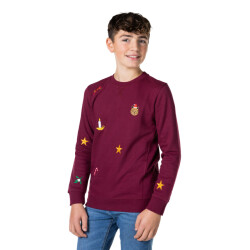 OppoSuits Teen boys x-mas icons burgundy