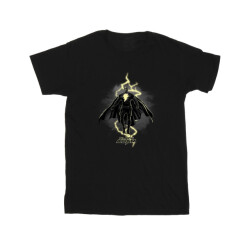 Li-cense Dc comics meisjes adam zwevend bolt katoenen t-shirt