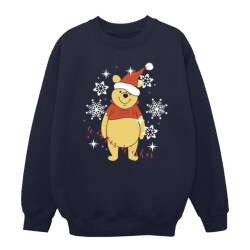 Li-cense Disney dames winnie the pooh winter wishes sweatshirt