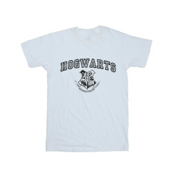Li-cense Harry potter t-shirt heren zweinsteinkruis