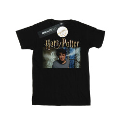 Li-cense Harry potter heren stoomoren t-shirt