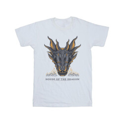 Li-cense Game of thrones: house of the dragon heren draak vlammen t-shirt