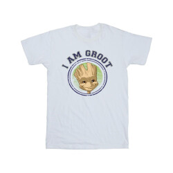 Li-cense Guardians of the galaxy heren groot varsity t-shirt