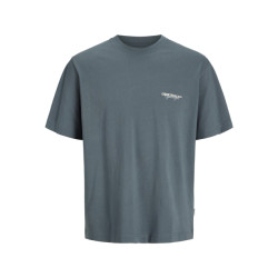 Jack & Jones Jorislington type tee ss crew neck -