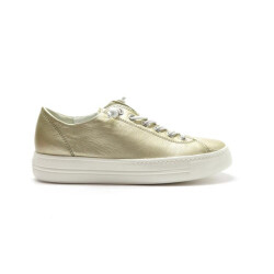 Paul Green 4081