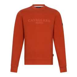 Cavallaro Celio r sweaters 120251000