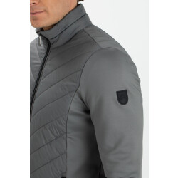 Falcon tarpo -