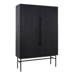 Benoa 2 door cabinet 100