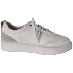 Berkelmans 251293910 sneaker