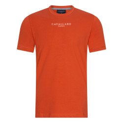 Cavallaro Cavallaro t-shirt met korte mouwen