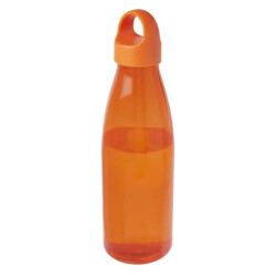 Generic Surplus Bergen gerecycleerde plastic 800ml waterfles