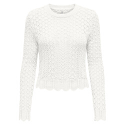 Only Pullover 15339668