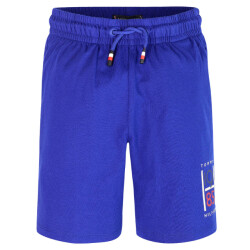 Tommy Hilfiger Short kb0kb09477