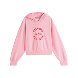 Tommy Hilfiger Hoodie kg0kg08322