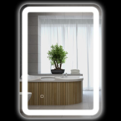 4goodz Badkamerspiegel 50x70 cm led met touchbediening 3 lichtniveaus