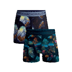 Muchachomalo Heren 2-pack boxershorts deep sea mountaintops