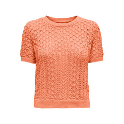 Only Onlsaga life ss o-neck cc knt -
