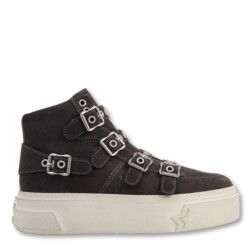 Ash Starmoon buckle