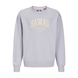 Jack & Jones Jjdetroit sweat crew neck jnr