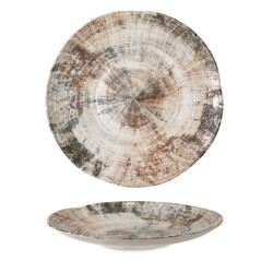 Rinart Dinerbord shira porselein 28 cm set van 6